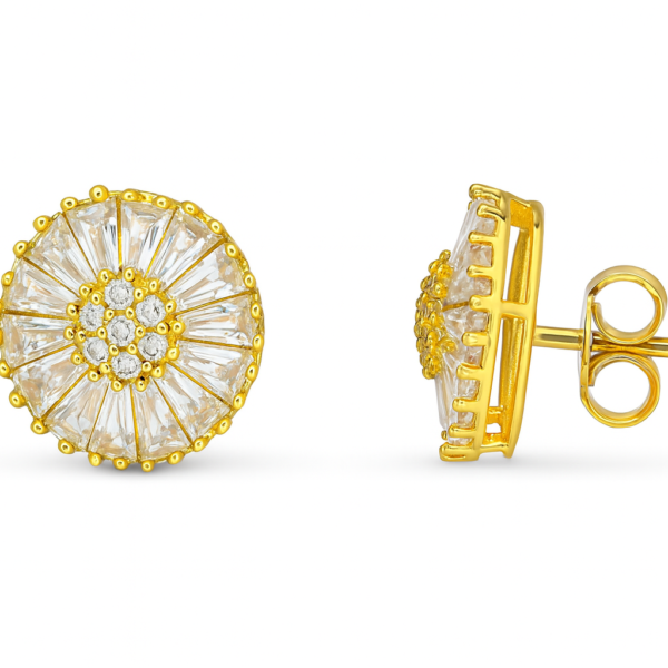 Brinco Chuveiro Redondo com Cristais